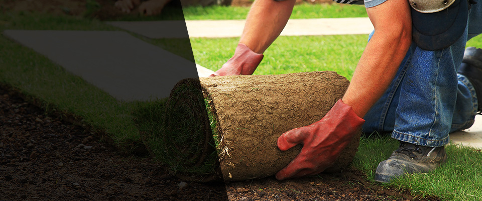 Andrews Air Force Base Landscapers